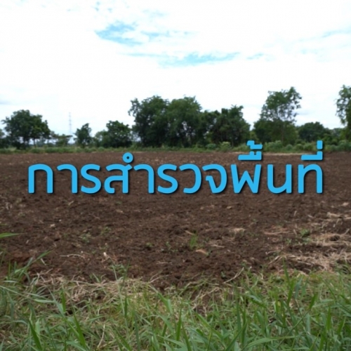 เอกสารการสำรวจพื้นที่เบื้องต้น