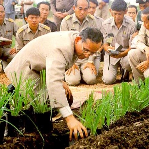 ศาสตร์พระราชา