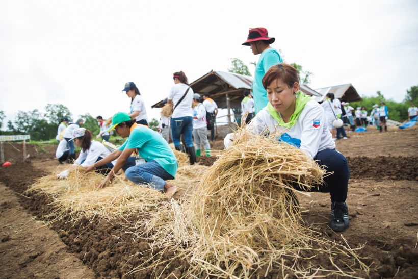 โครงการพลังคนสร้างสรรค์โลก รวมพลังตามรอยพ่อของแผ่นดิน ปี 2 <br>พ.ศ. 2557 จ.เพชรบูรณ์