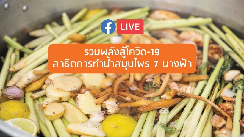 การทำน้ำสมุนไพร 7 นางฟ้า <br>โดย อ.ปิ่นแก้ว ศิลาโชติ