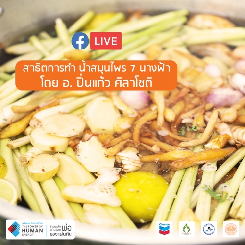 การทำน้ำสมุนไพร 7 นางฟ้า <br>โดย อ.ปิ่นแก้ว ศิลาโชติ