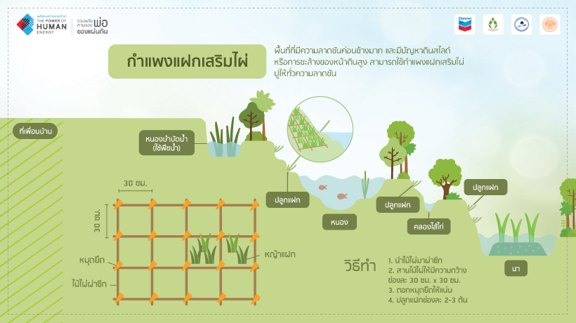 กำแพงแฝกเสริมไผ่