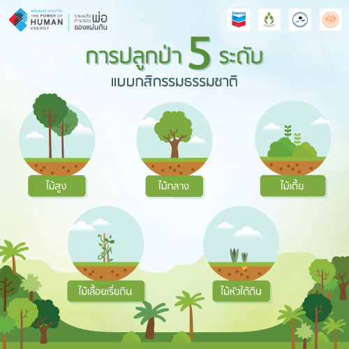 คลังความรู้ / ถอดบทเรียนจากโครงการ